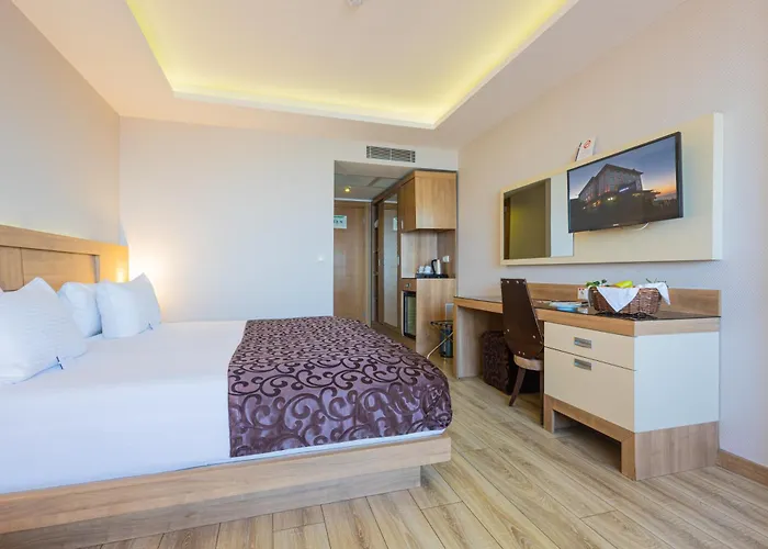 Deluxe Single Room